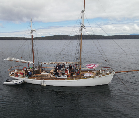 Bruny Island Experience