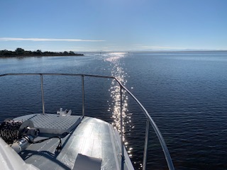 Private Transfer - From the Gippsland Lakes to Paynesville