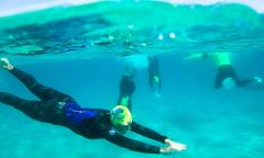 Learn To Ocean Swim Clinic (Gold Coast)