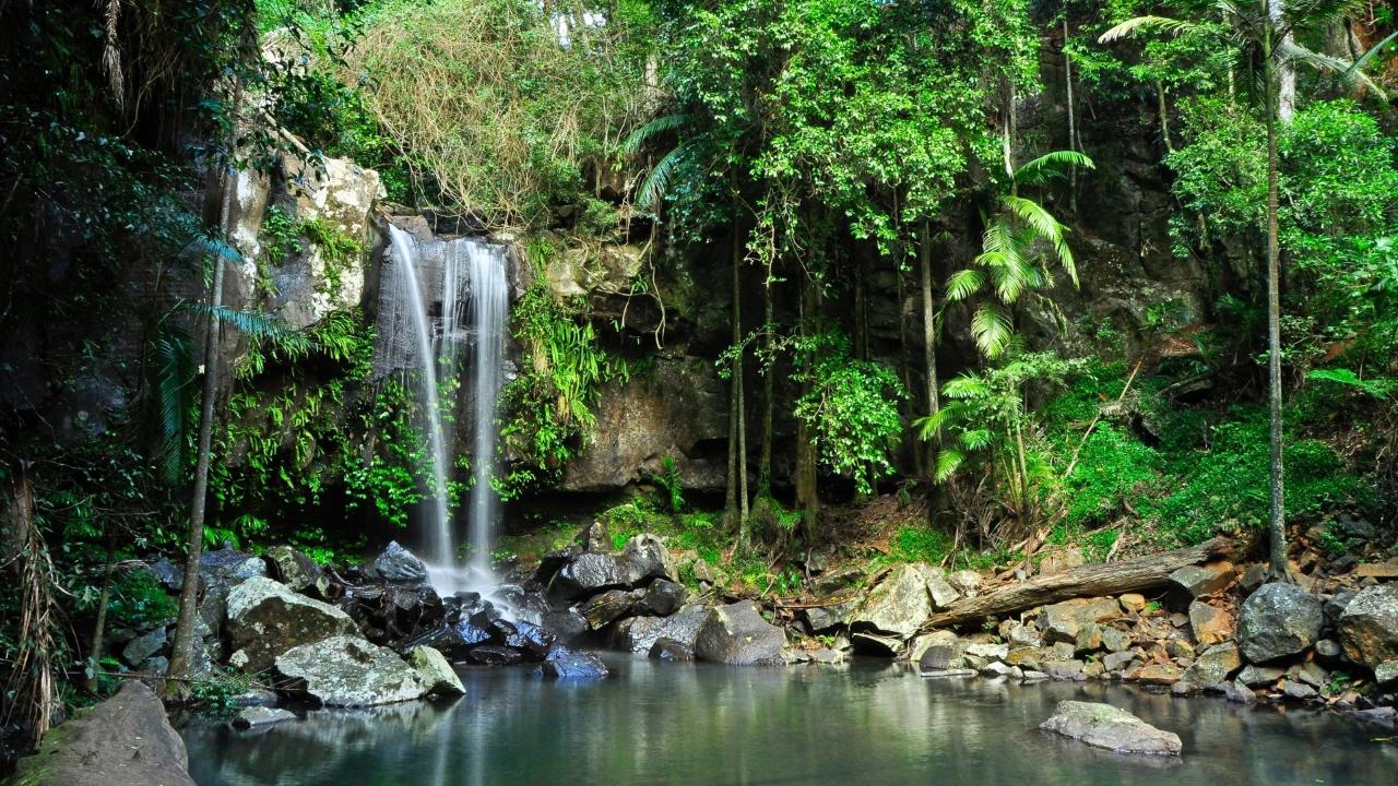 Private Tour - Tastes of Tamborine Mountain