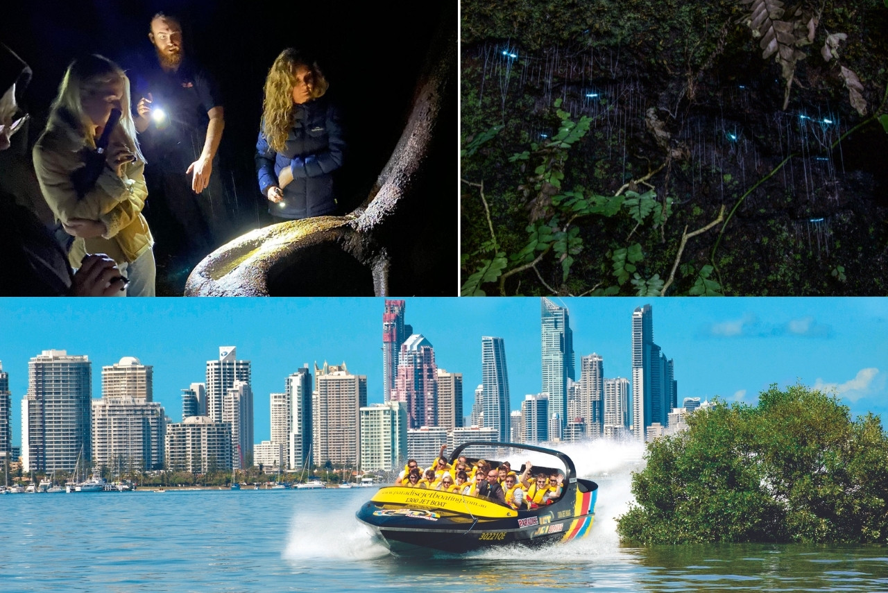 Evening Rainforest and Glow Worm tour + Paradise Jet Boating