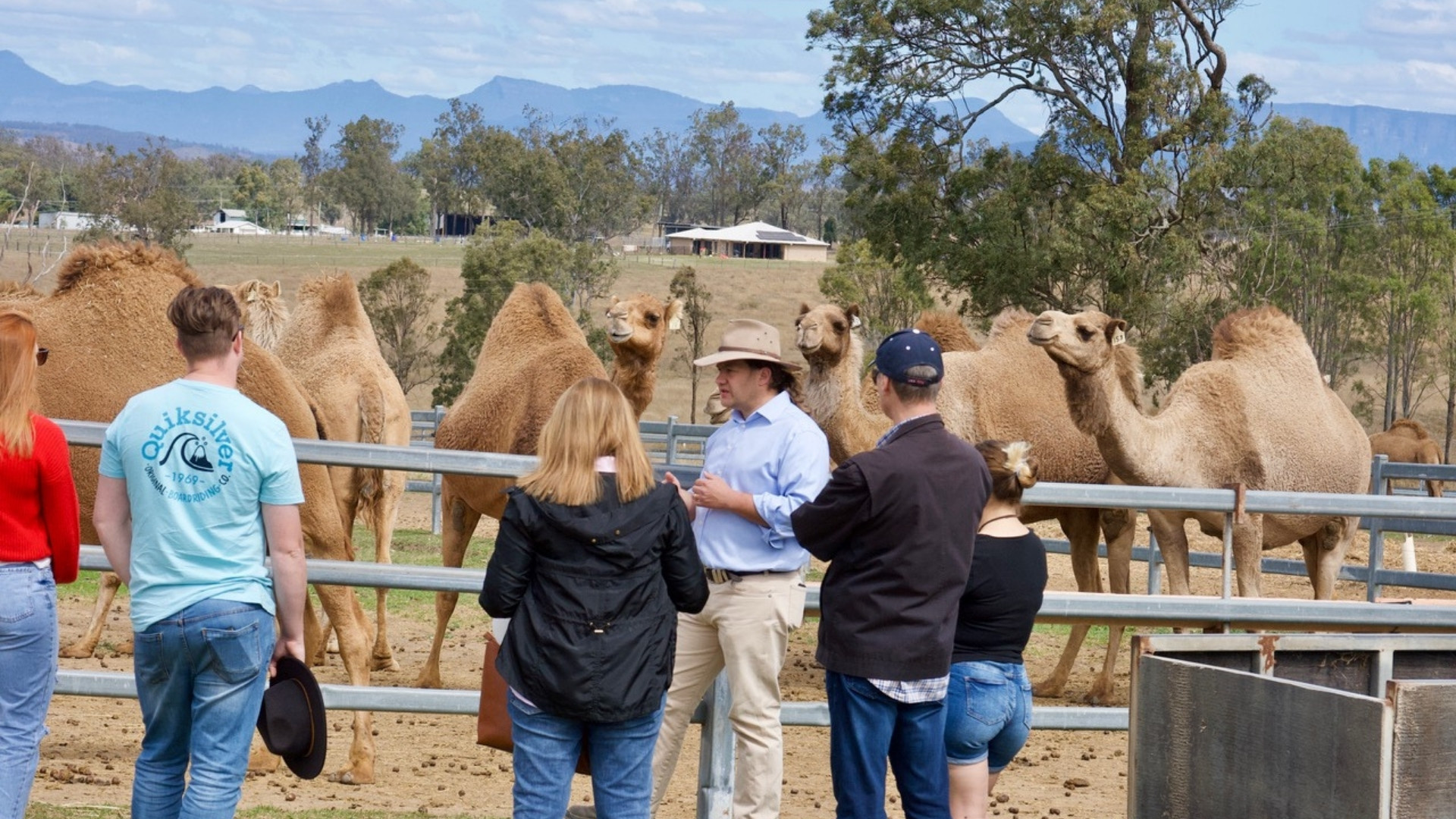Scenic Rim Farm, Food & Wine Experience