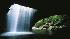 Natural Bridge & Springbrook Waterfalls Tour