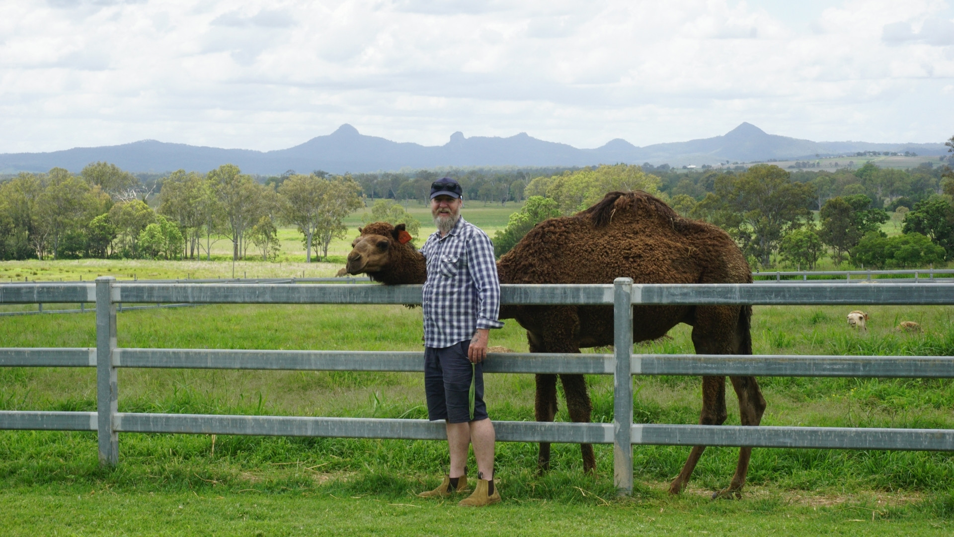 Scenic Rim Farm, Food & Wine Experience