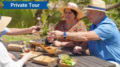 Private Tour - Lamington National Park, O'Reilly's & Vineyard with lunch and wine. 