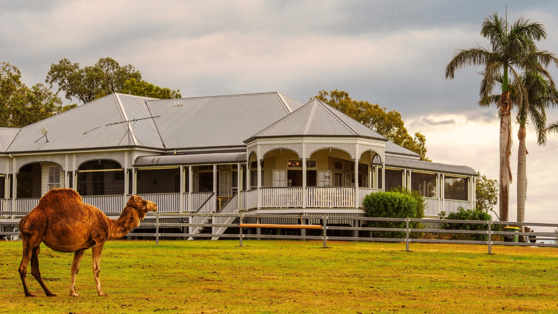 Scenic Rim Farm, Food & Wine Experience