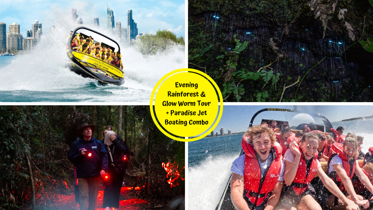 Evening Rainforest & Glow Worm Experience + Paradise Jet Boating Combo - Save $10