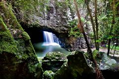 Natural Bridge & Springbrook Waterfalls Tour