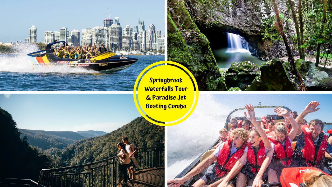 Natural Bridge & Springbrook Waterfalls + Jet Boating Combo - SAVE $10