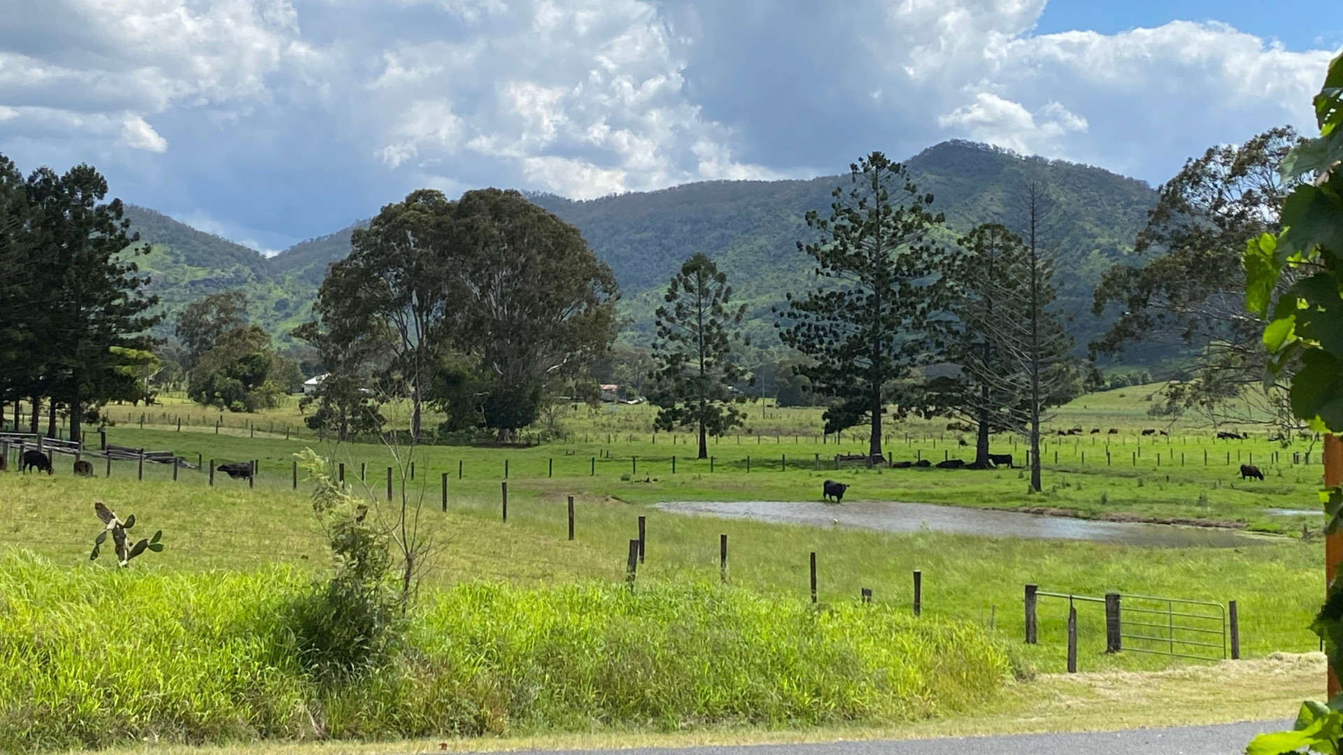 Scenic Rim Farm, Food & Wine Experience