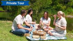 Private Tour  - Full day. Mt Tamborine, Lamington, O'Reilly's & Vineyard with lunch & wine. 