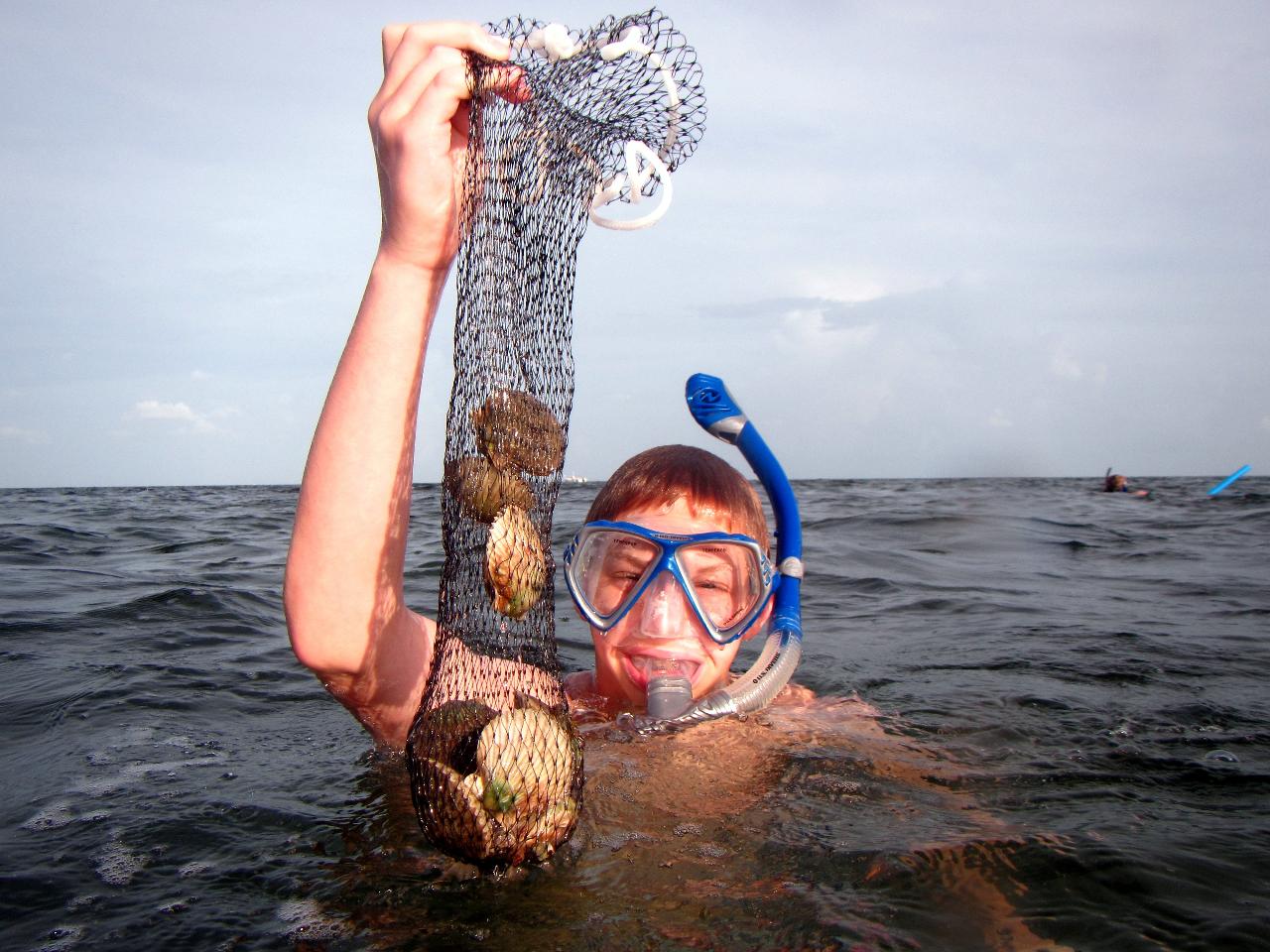 Semi-Private or Private 6 Passenger Vessel - Scallop Hunt WITH  In-water Guide - CRYSTAL RIVER
