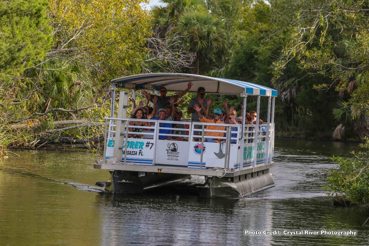 Wildlife Encounter and River Cruise - 1.5 hour - Crystal River