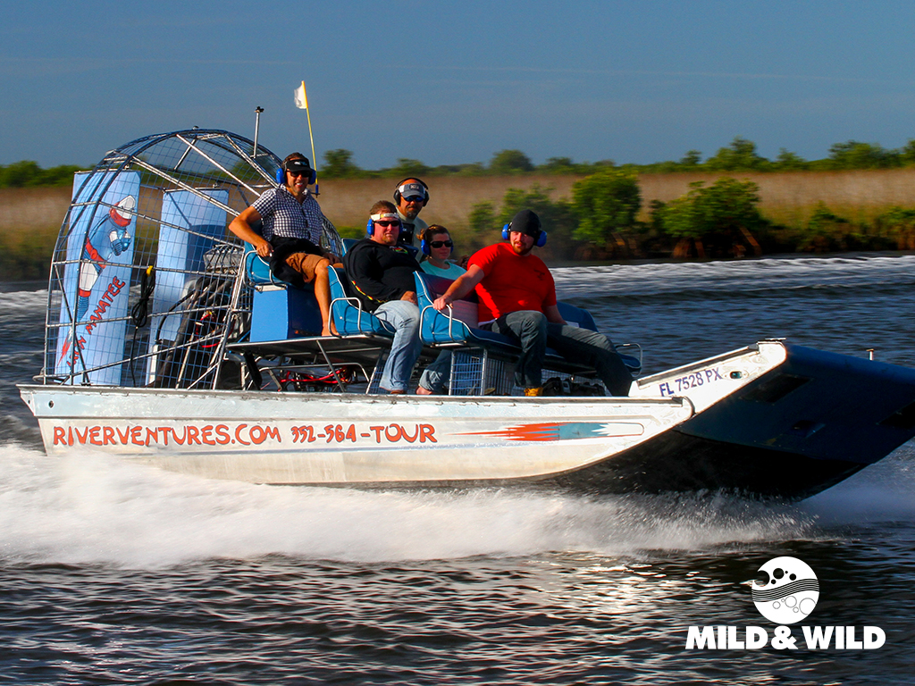 manatee airboat tours