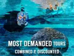 THE DIAMOND DUO - VIP Swim with Manatee Tour AND Gulf Airboat Ride and Dolphin Quest