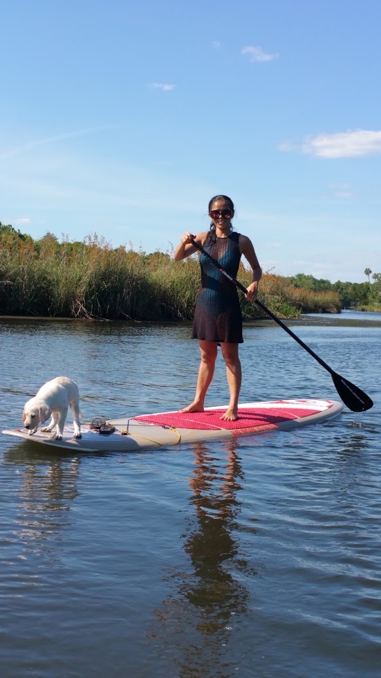 Stand Up Paddle Board Rental Half Day (Beginner Board) River Ventures