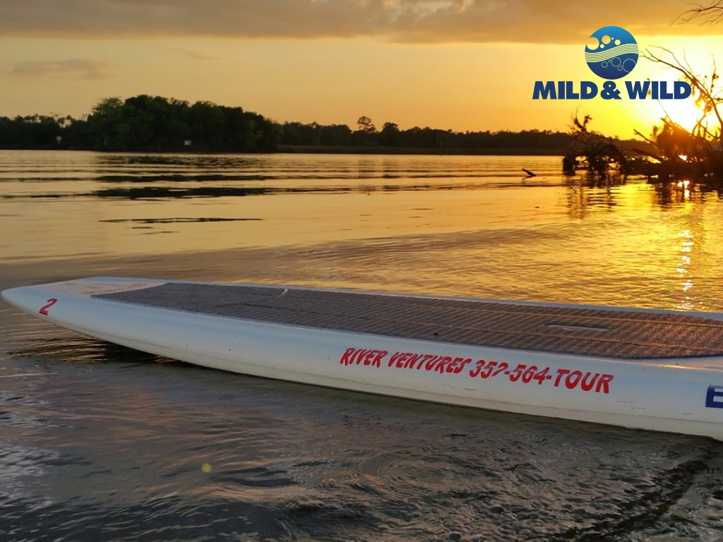 Z Stand Up Paddle Board Rental Half Day (Beginner Board) River Ventures Reservations