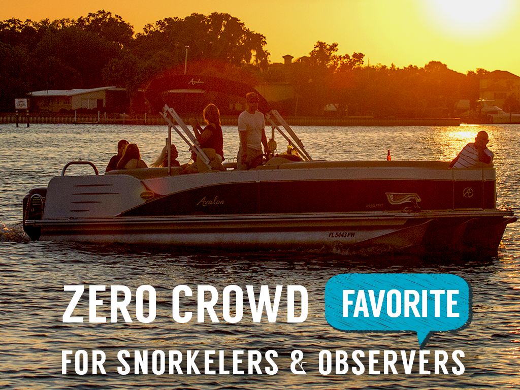 Sunset VIP Manatee Snorkel (heated) - A Majestic Masterpiece - Crystal River