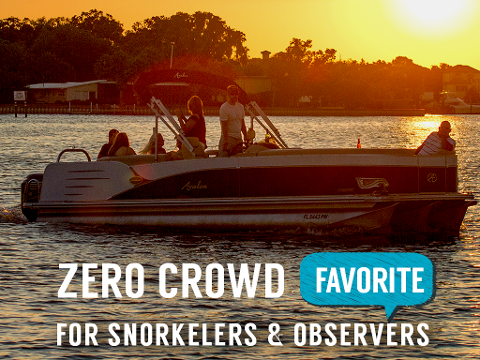 Sunset VIP Manatee Snorkel (heated) - A Majestic Masterpiece - Crystal River