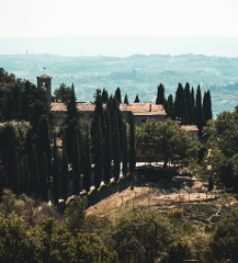 WEB CDT Tuscan Vineyard Experience