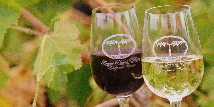 Wine Tasting - Angas Plains Wines Reservations