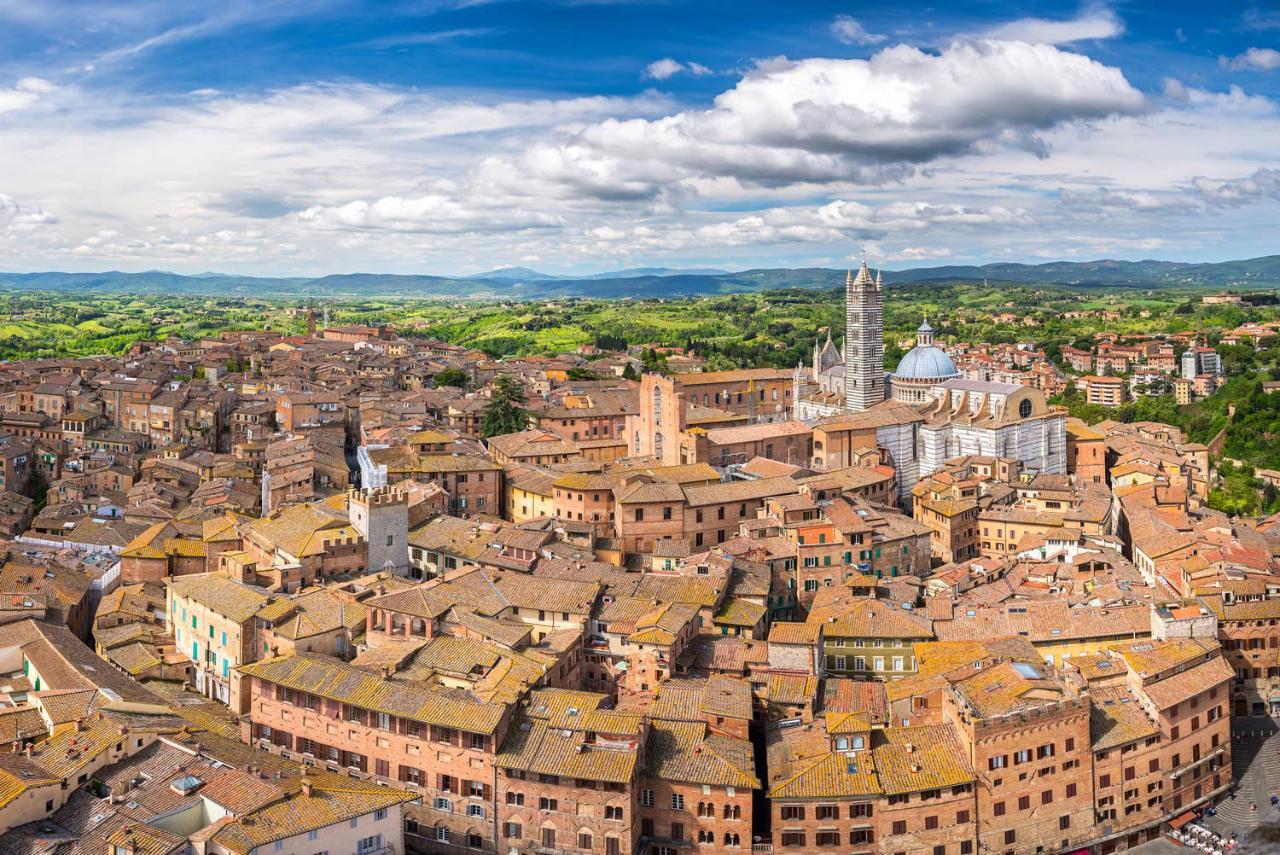 TB05 - Private Tour Siena, San Gimignano & Chianti wine from Borgo alle Vigne