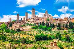 LI - Bella Toscana - Chianti, SuperTuscan and light lunch Tour with San Gimignano From Livorno