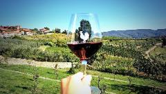 TB08 - The Wine Tour with Sommelier - 2 wineries in Chianti da Borgo alle Vigne