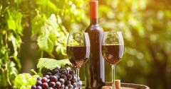 LU - Small Group Chianti Lovers Tour- 2 Wineries, Chianti and SuperTuscan from Lucca