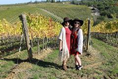 TB09 - Bella Toscana - Chianti and San Gimignano, SuperTuscan and light lunch Tour from Borgo alle Vigne 