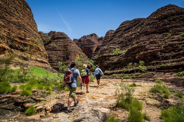 BUNGLE BUNGLES PLUS GROUND TOUR FULL DAY Ex Halls Creek
