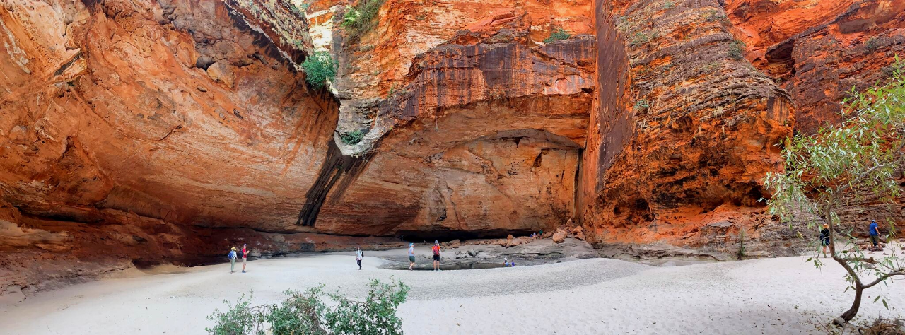 BUNGLE BUNGLES PLUS GROUND TOUR Ex Halls Creek