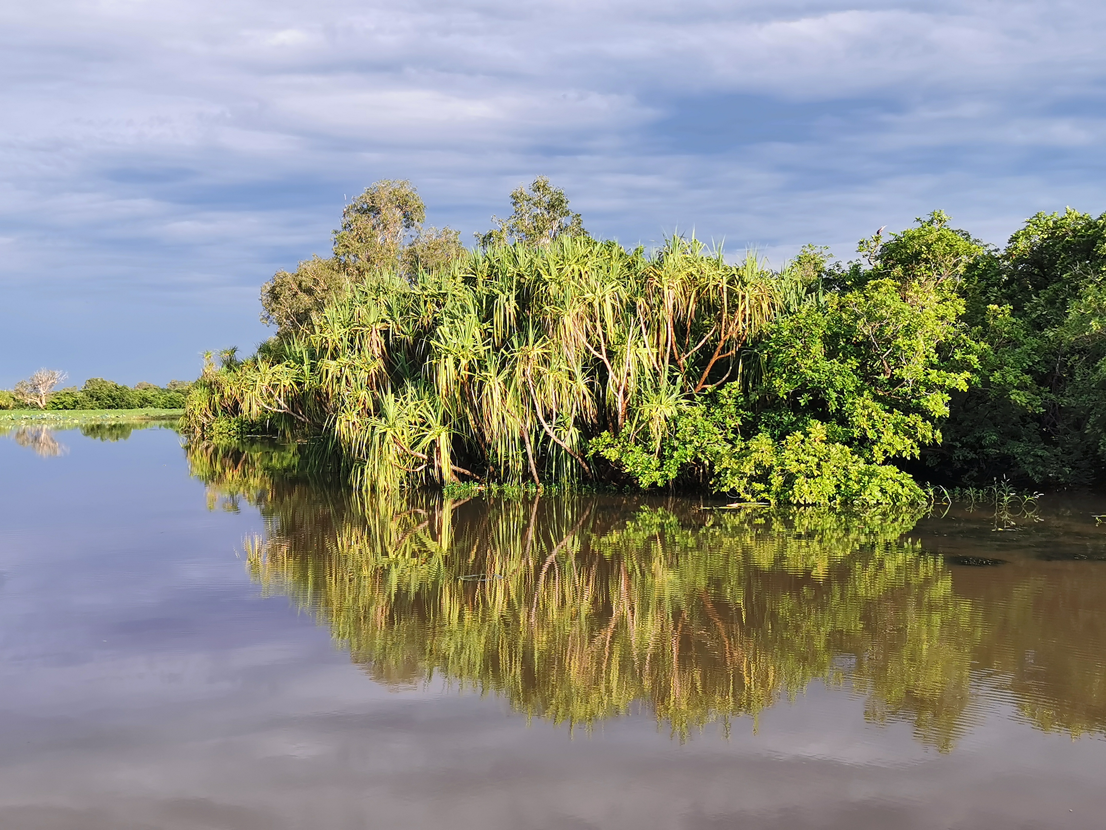 Kakadu - 1 Day Tour