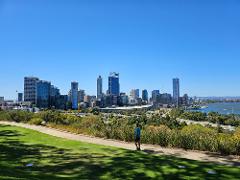 Penguin Island, Dolphin Cruise, Fremantle & Sunset Coast beaches, 10 guests only