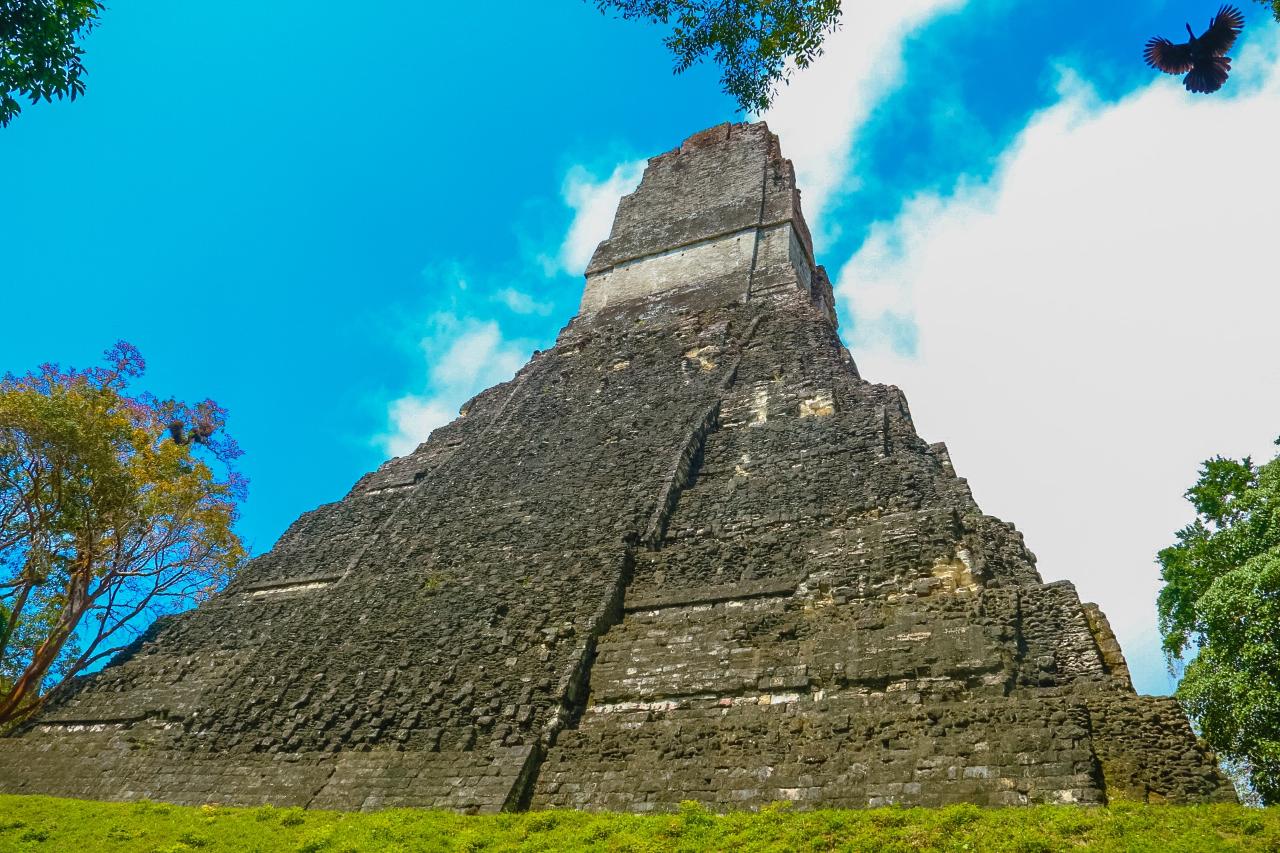 Tikal Maya Temple Tour