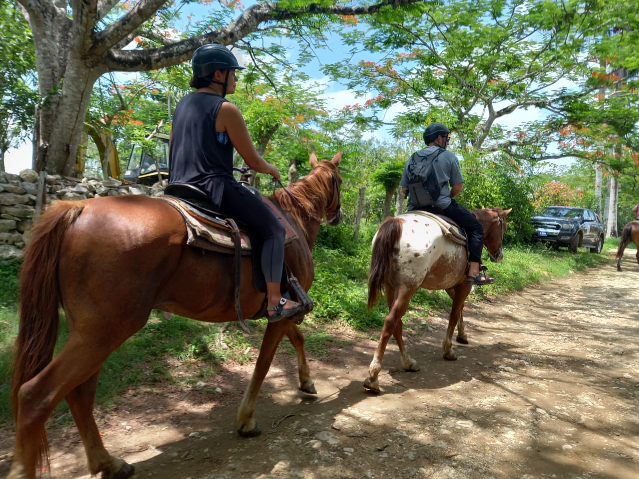 Horseback Riding (Farm Ride)