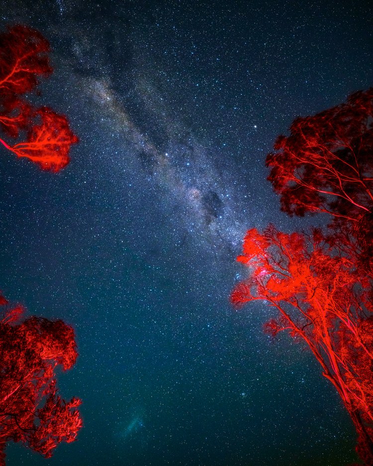 Byron Bay Stargazing Gift Card $50