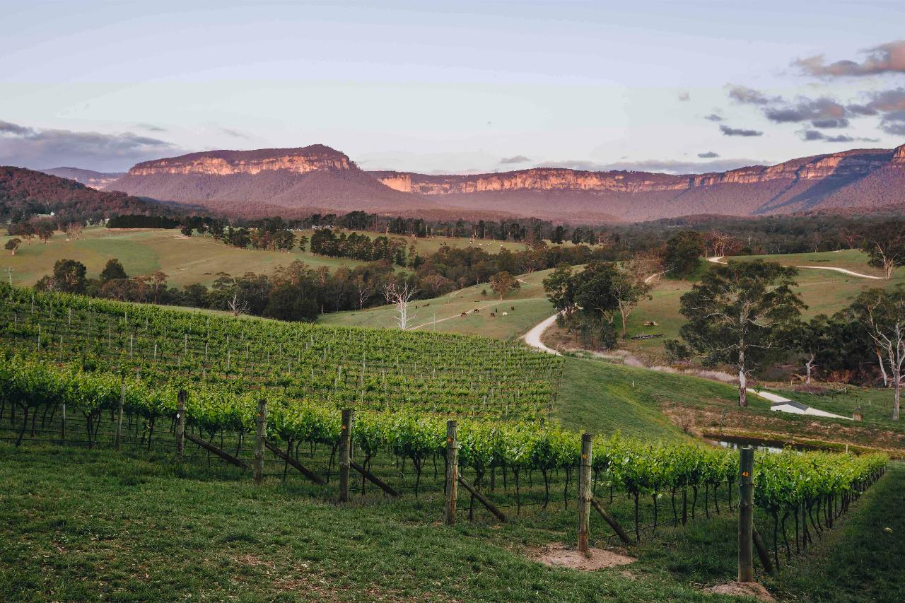 Wine Tasting Stargazing