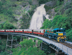 **휴면** [열대우림] 쿠란다 투어 (TropicWings Kuranda Rainforestation with Scenic Rail)