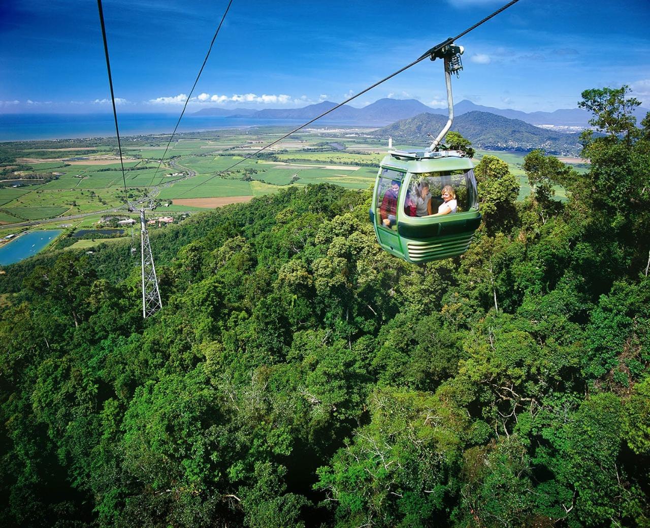 **휴면** [열대우림] 쿠란다 투어 (TropicWings Kuranda Rainforestation with Skyrail)