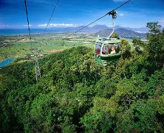 **휴면** [열대우림] 쿠란다 투어 (TropicWings Kuranda Rainforestation with Skyrail)