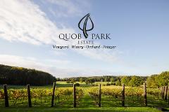 Quob Park Vineyard Private "Battle of the Sparklings" Tour & Tasting for up to 4 people