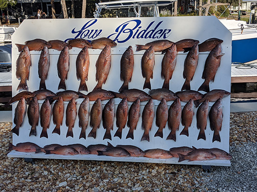 Middle Grounds Fishing Pictures And Charter Trips