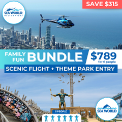 Family Fun Bundle - Scenic Flight & Sea World Theme Park Bundle For 6 People