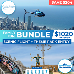 Family Fun Bundle - Scenic Flight & Sea World Theme Park Bundle For 6 People