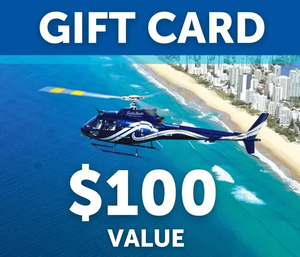 $100 Gift Card