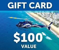 $100 Gift Card