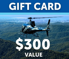 $300 Gift Card