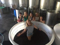 Sustainable Long Italian Lunch  and Grape Stomping at Tractorless Vineyard Berrima