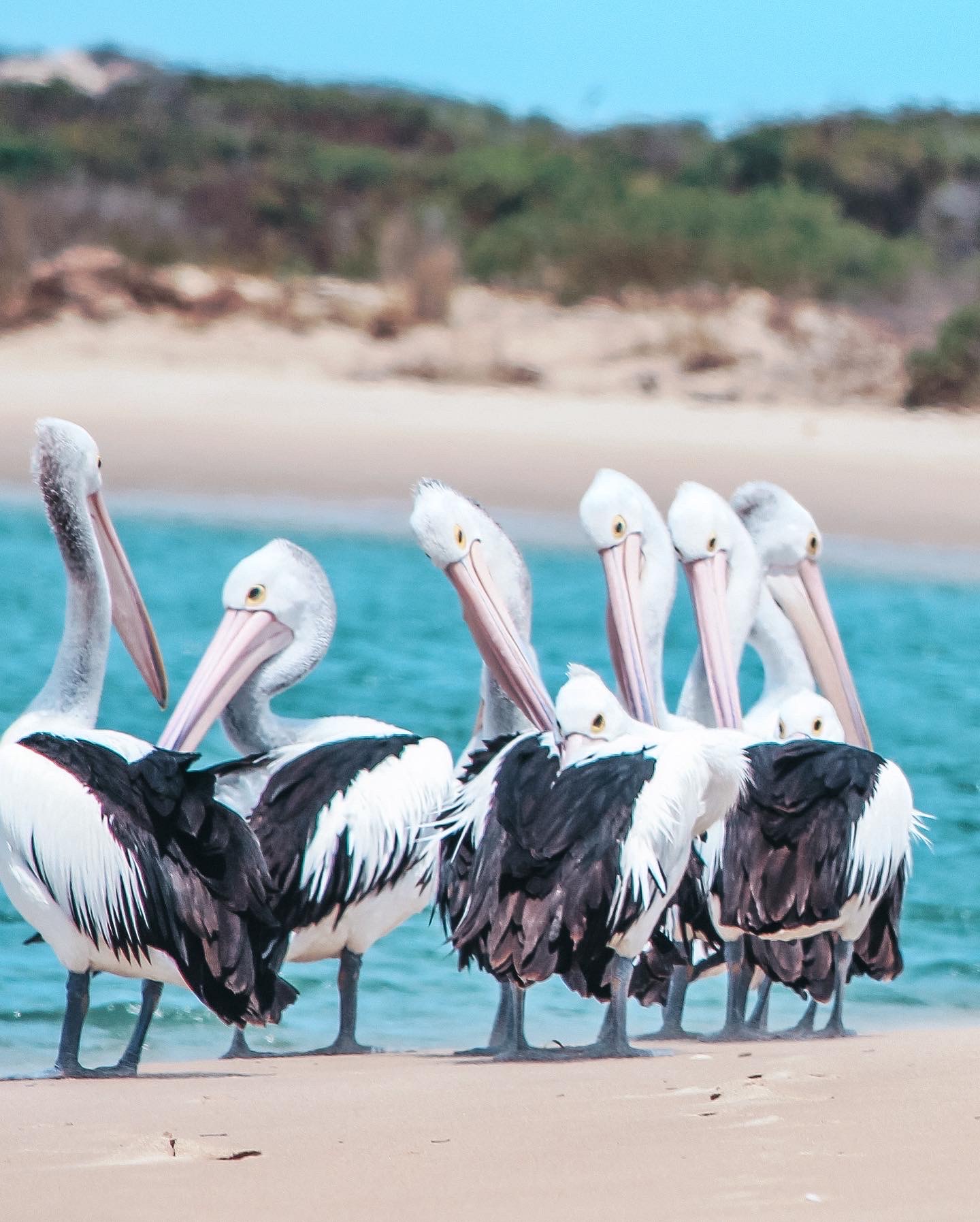 Women's Overnight Coorong Kayaking Expedition